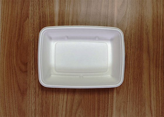 泰国工厂大量现货供应：纸浆模塑餐具; 9×6.5英寸盒子