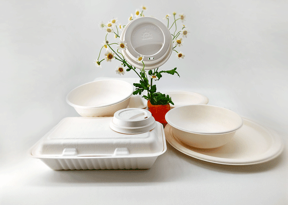  泰国工厂大量现货供应：纸浆模塑餐具; 10寸圆盘